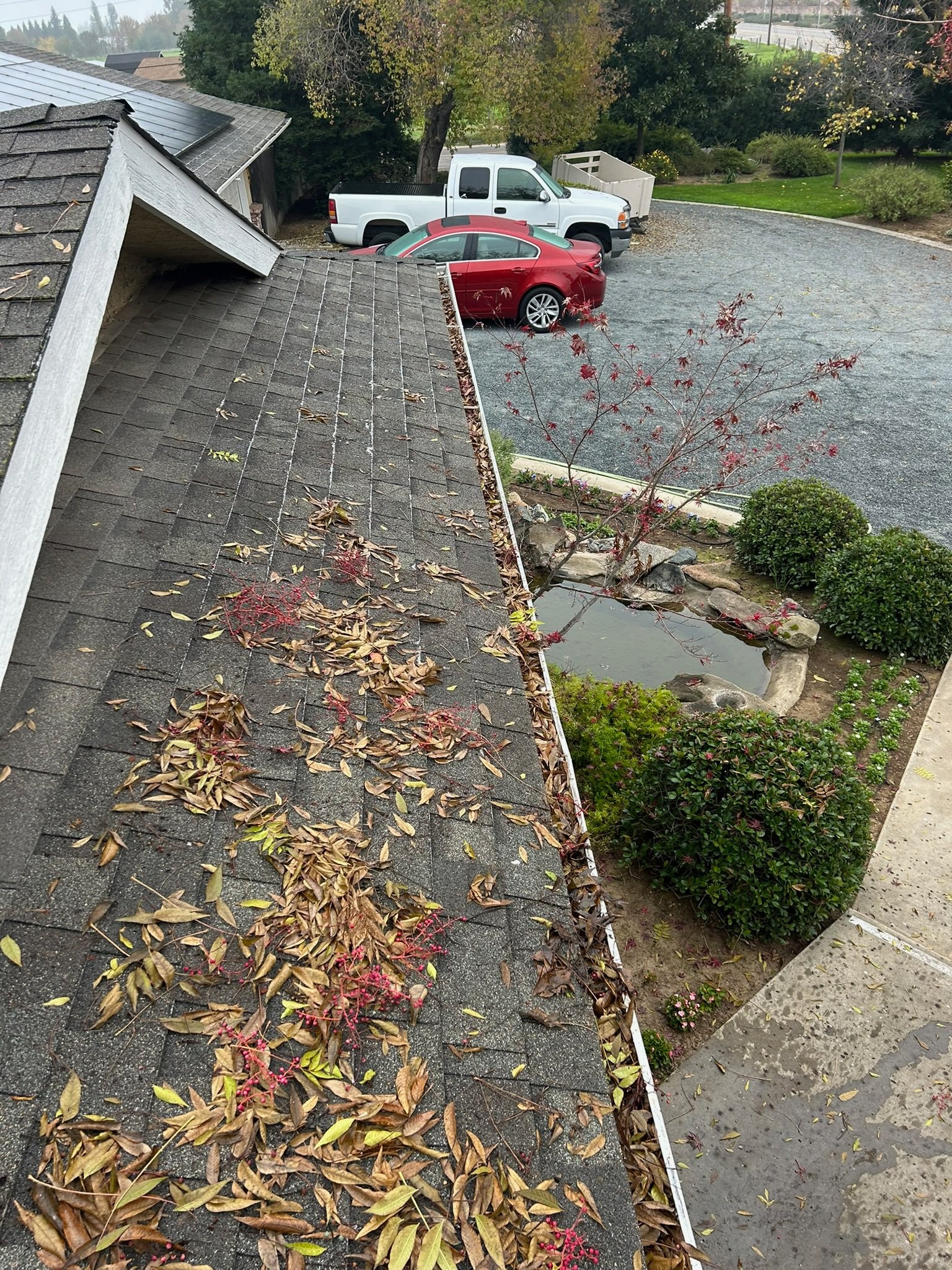 Gutter packed with leaves and debris before cleaning