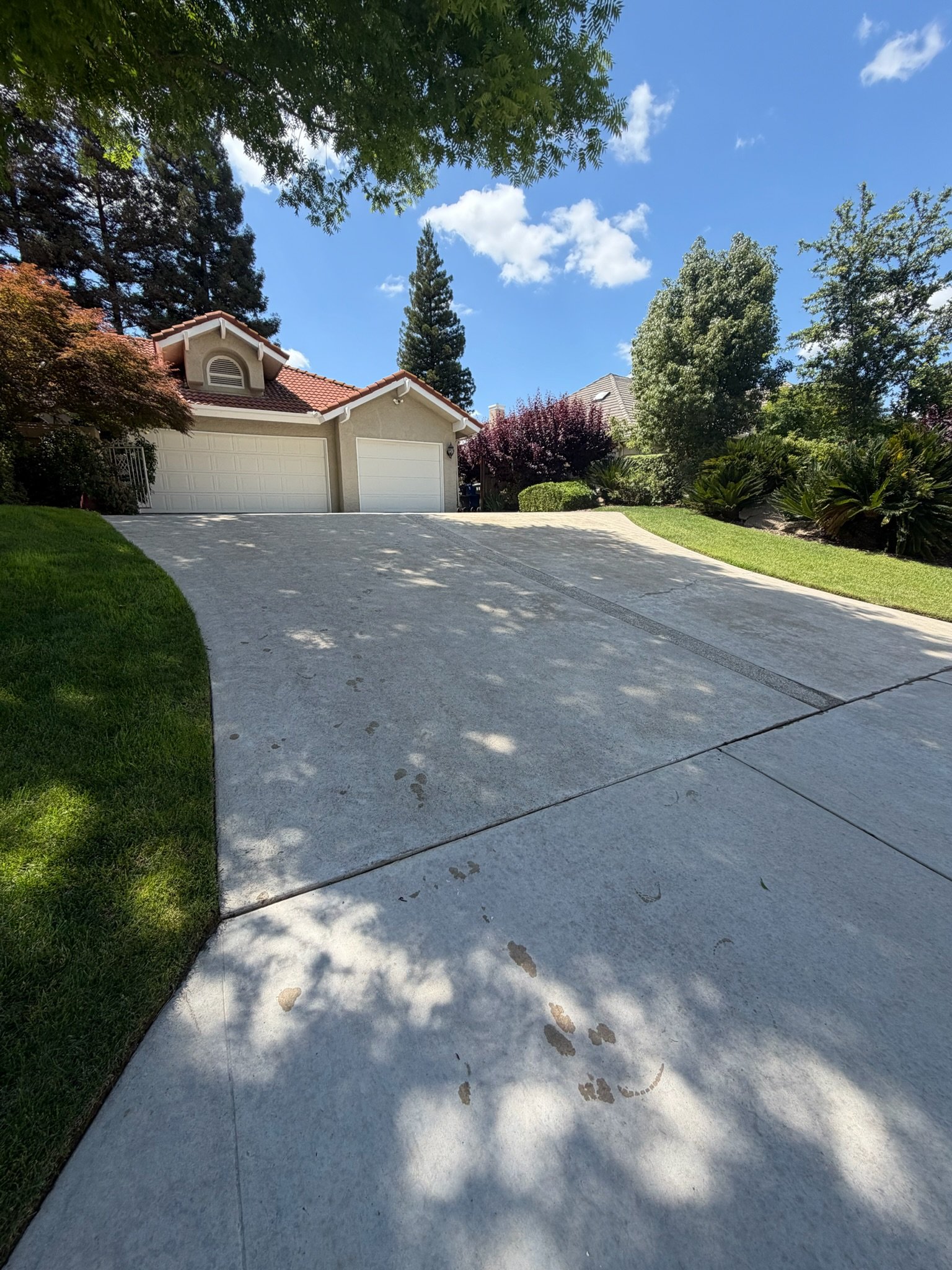 Freshly pressure washed driveway